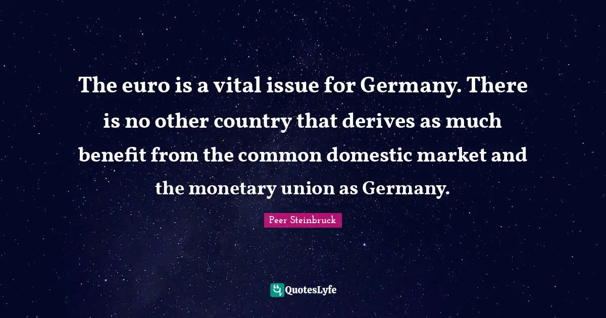 The euro is a vital issue for Germany. There is no other country that derives as much benefit from the common domestic market and the monetary union as Germany.