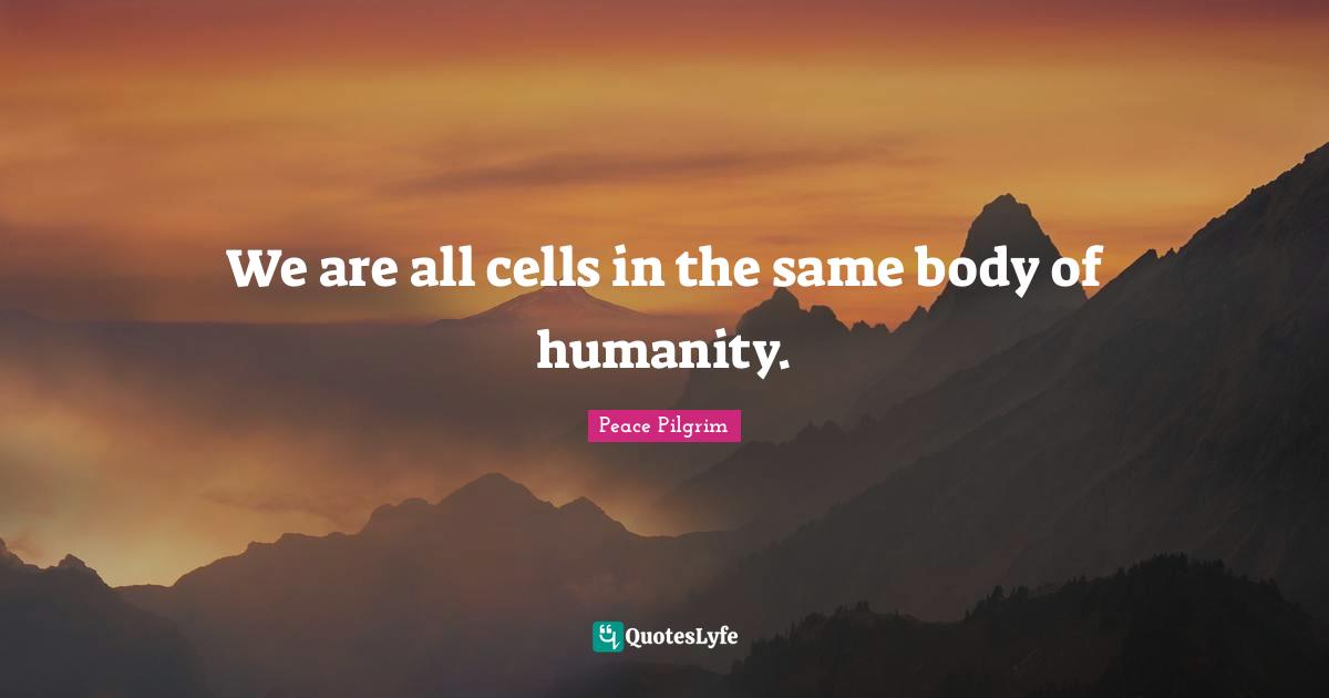 We are all cells in the same body of humanity.