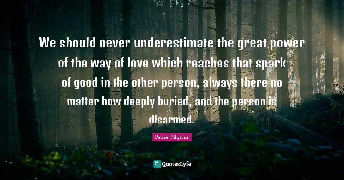 We should never underestimate the great power of the way of love which reaches that spark of good in the other person, always there no matter how deeply buried, and the person is disarmed.