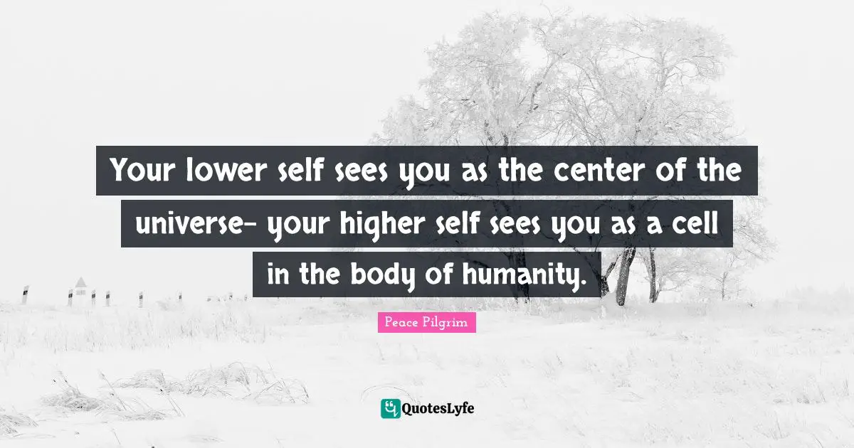 Your lower self sees you as the center of the universe- your higher self sees you as a cell in the body of humanity.