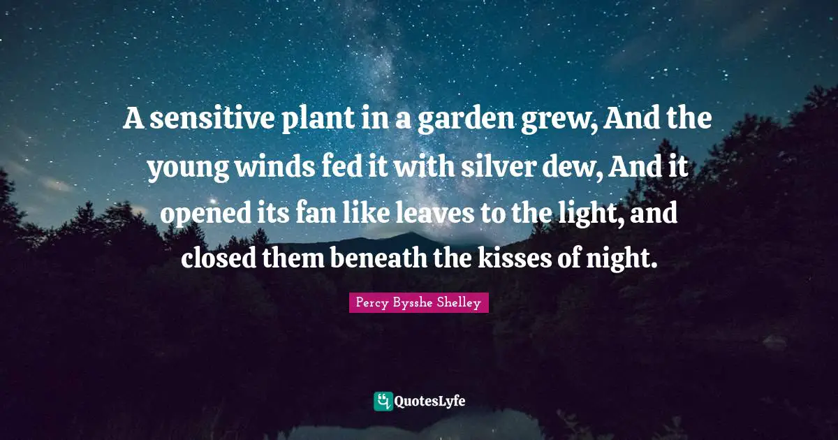 Dew Quotes: "A sensitive plant in a garden grew, And the young winds fed it with silver dew, And it opened its fan like leaves to the light, and closed them beneath the kisses of night."