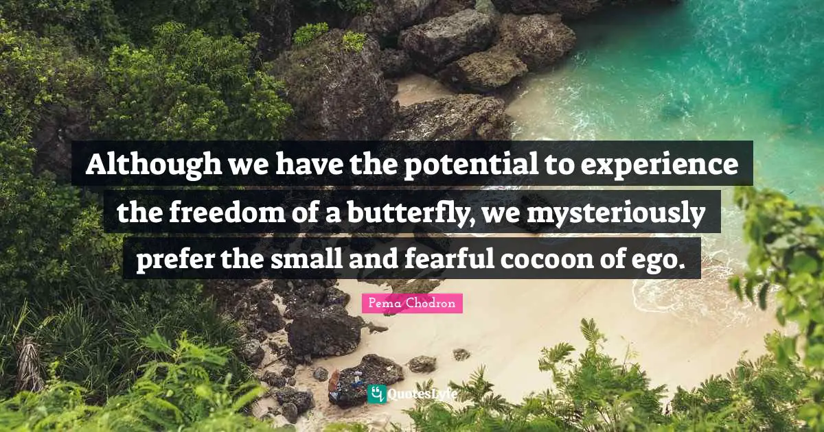 Although we have the potential to experience the freedom of a butterfly, we mysteriously prefer the small and fearful cocoon of ego.