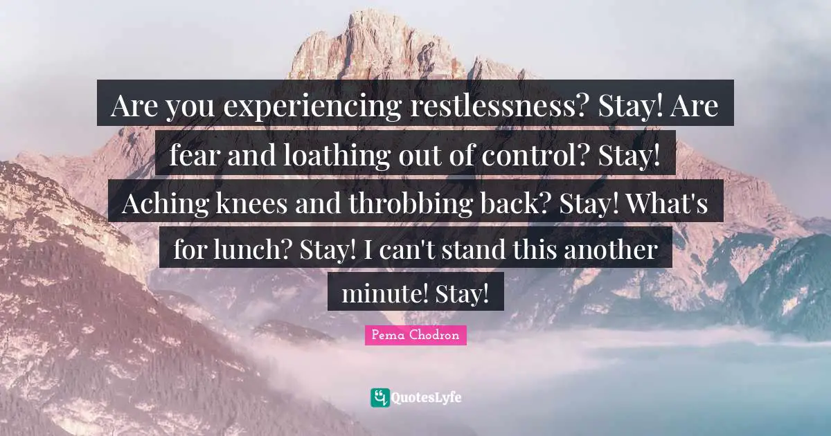 Are you experiencing restlessness? Stay! Are fear and loathing out of control? Stay! Aching knees and throbbing back? Stay! What's for lunch? Stay! I can't stand this another minute! Stay!