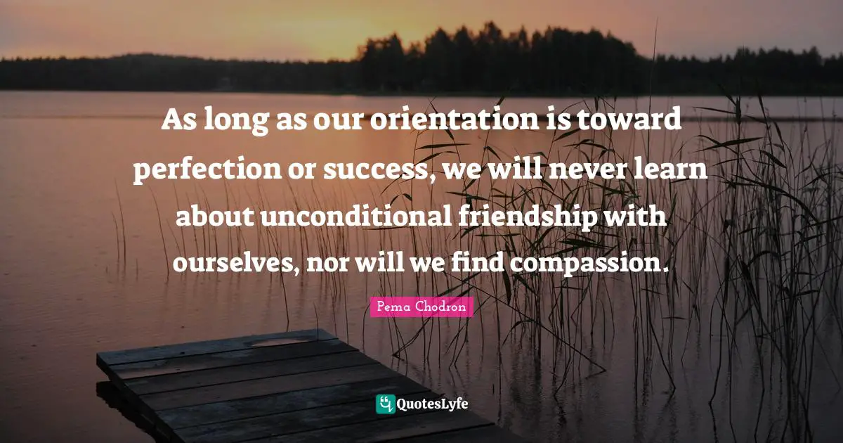 As long as our orientation is toward perfection or success, we will never learn about unconditional friendship with ourselves, nor will we find compassion.