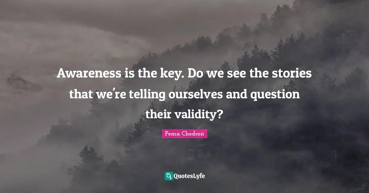 Awareness is the key. Do we see the stories that we're telling ourselves and question their validity?