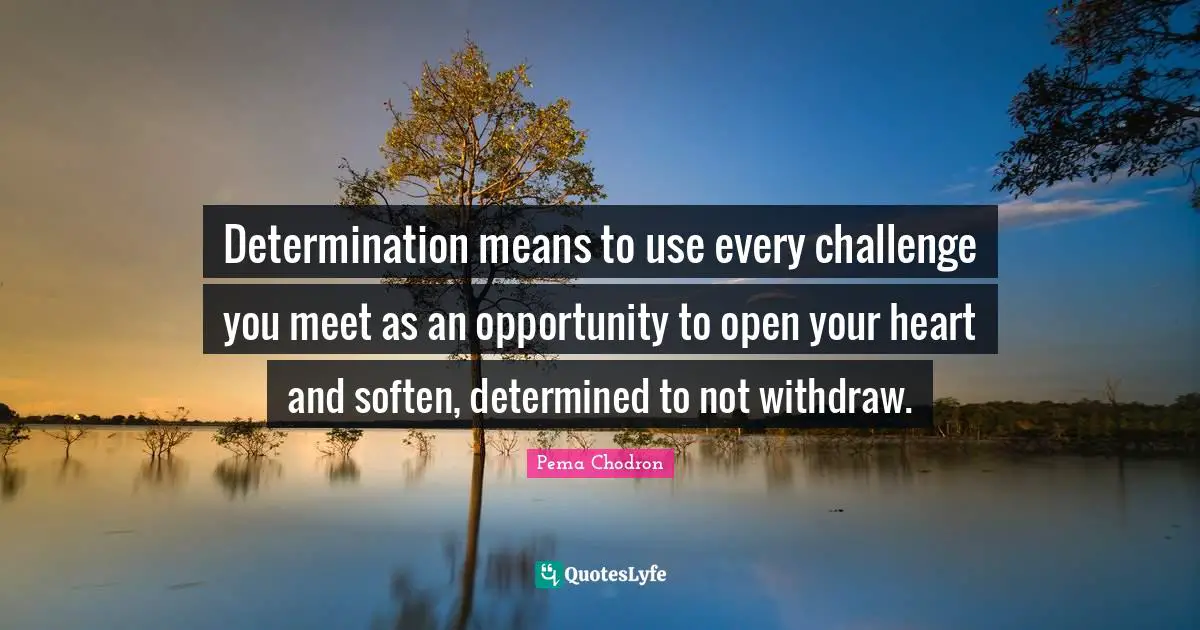 Determination means to use every challenge you meet as an opportunity to open your heart and soften, determined to not withdraw.