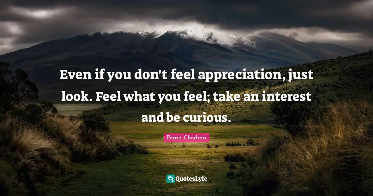 Even if you don't feel appreciation, just look. Feel what you feel; take an interest and be curious.
