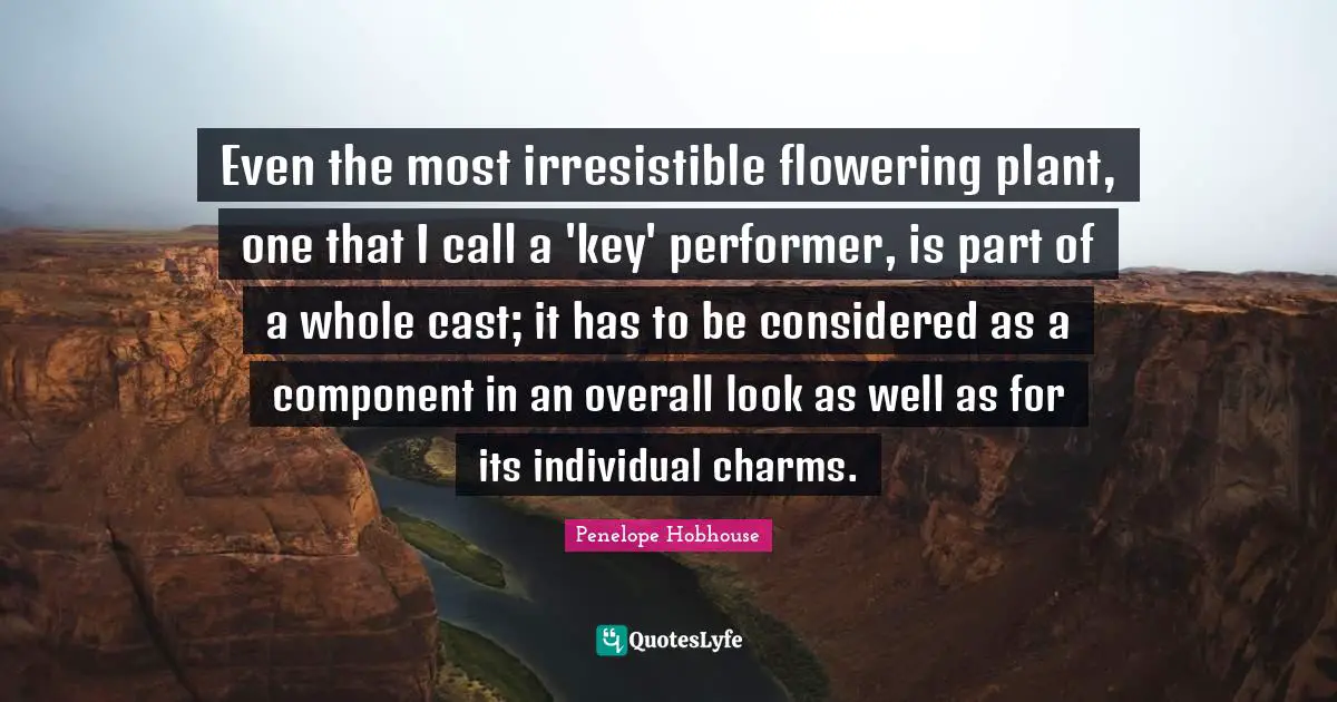 Penelope Hobhouse Quotes: Even the most irresistible flowering plant, one that I call a 'key' performer, is part of a whole cast; it has to be considered as a component in an overall look as well as for its individual charms.