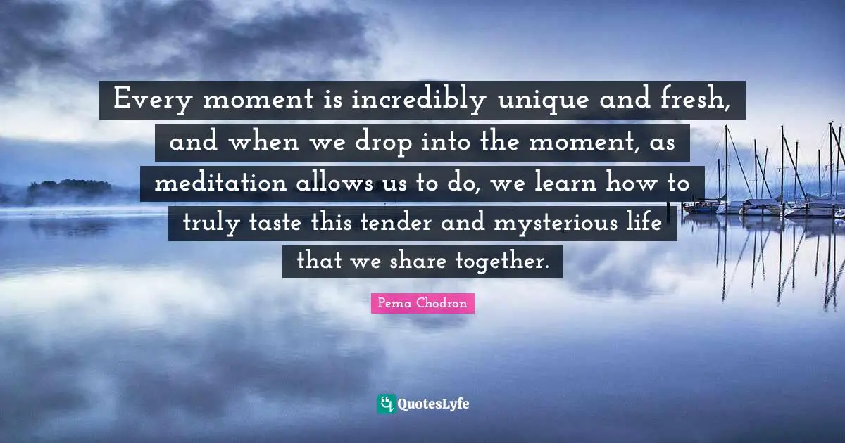 Every moment is incredibly unique and fresh, and when we drop into the moment, as meditation allows us to do, we learn how to truly taste this tender and mysterious life that we share together.