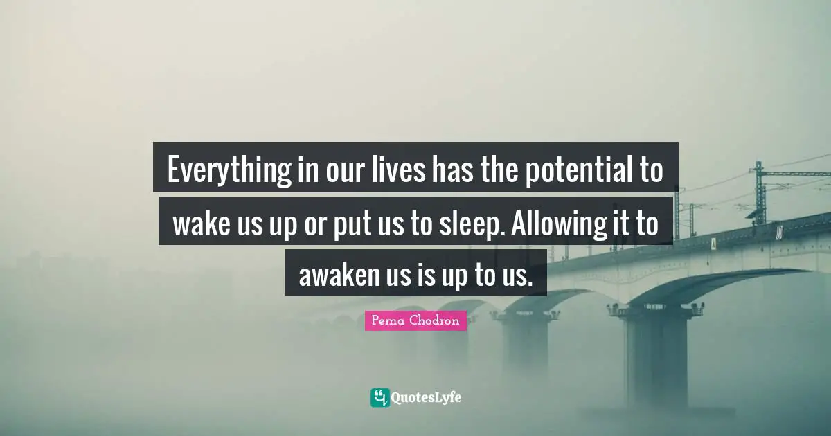 Everything in our lives has the potential to wake us up or put us to sleep. Allowing it to awaken us is up to us.
