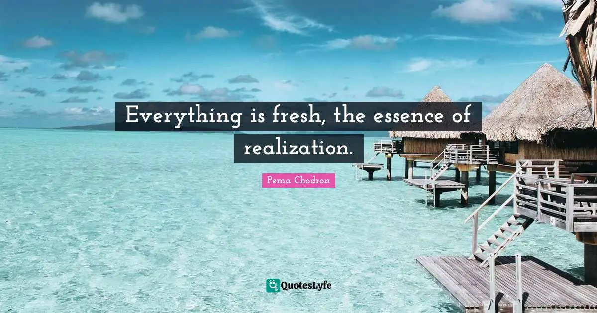 Everything is fresh, the essence of realization.