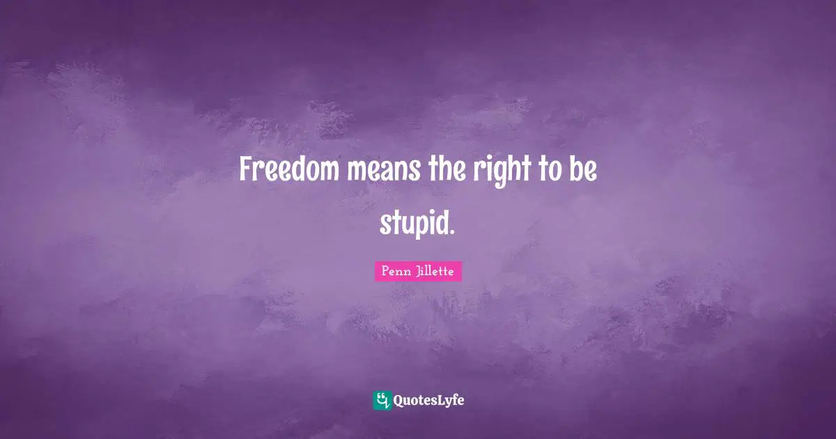 Freedom means the right to be stupid.
