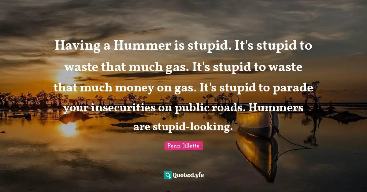 Having a Hummer is stupid. It's stupid to waste that much gas. It's stupid to waste that much money on gas. It's stupid to parade your insecurities on public roads. Hummers are stupid-looking.
