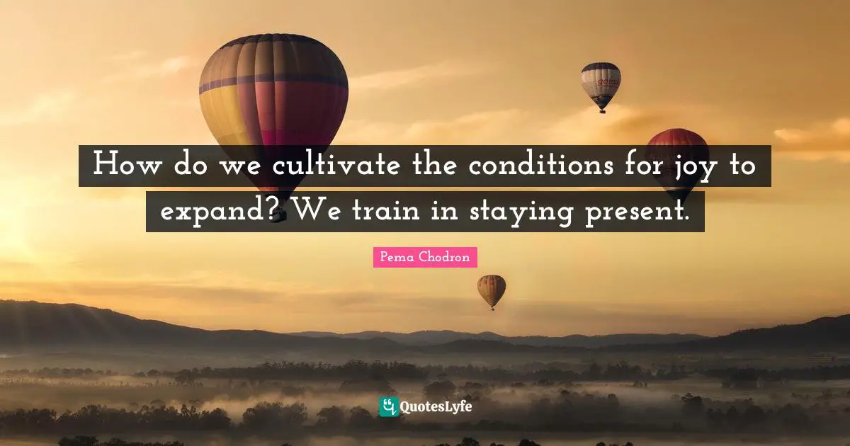 How do we cultivate the conditions for joy to expand? We train in staying present.