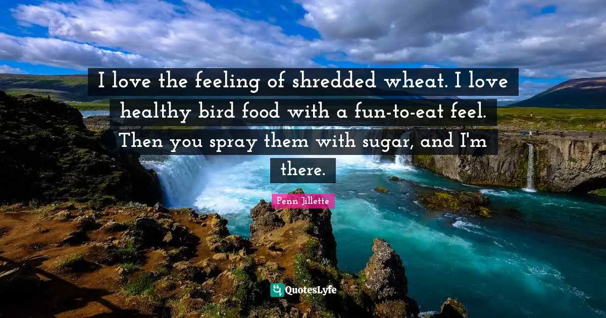 I love the feeling of shredded wheat. I love healthy bird food with a fun-to-eat feel. Then you spray them with sugar, and I'm there.