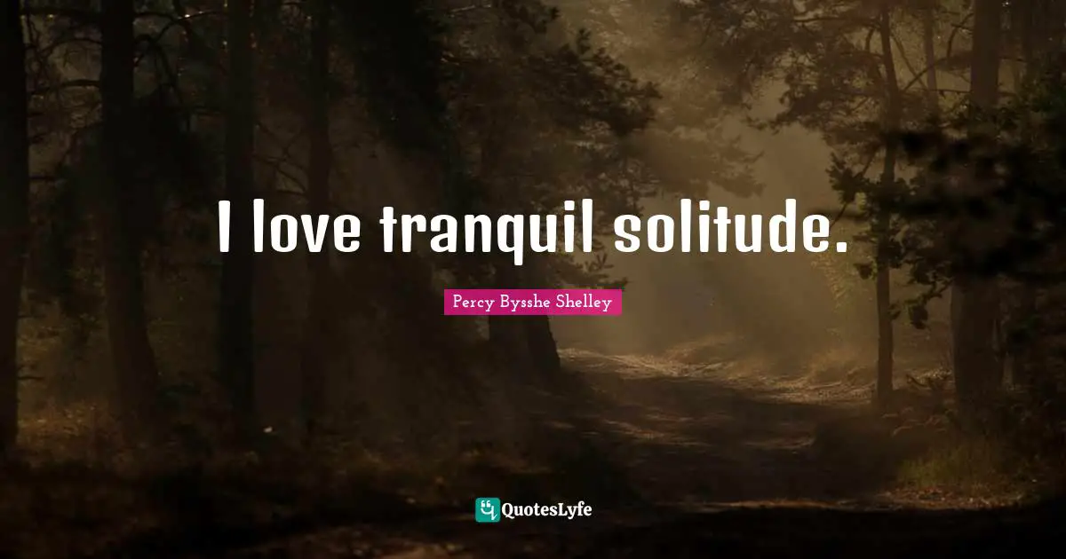 I love tranquil solitude.
