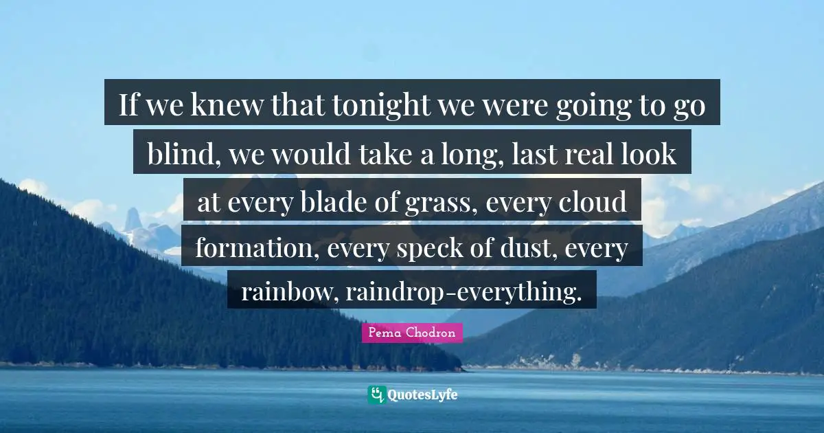 If we knew that tonight we were going to go blind, we would take a long, last real look at every blade of grass, every cloud formation, every speck of dust, every rainbow, raindrop-everything.
