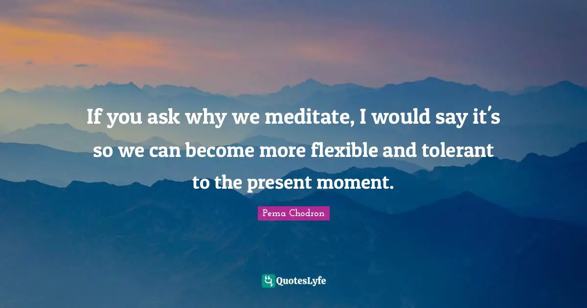If you ask why we meditate, I would say it's so we can become more flexible and tolerant to the present moment.