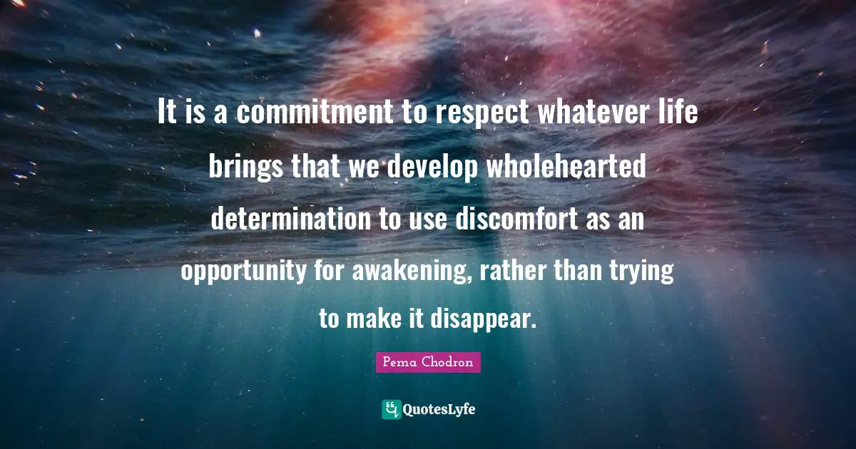 It is a commitment to respect whatever life brings that we develop wholehearted determination to use discomfort as an opportunity for awakening, rather than trying to make it disappear.