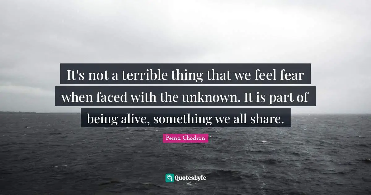 Share Wisdom Quotes: "It's not a terrible thing that we feel fear when faced with the unknown. It is part of being alive, something we all share."
