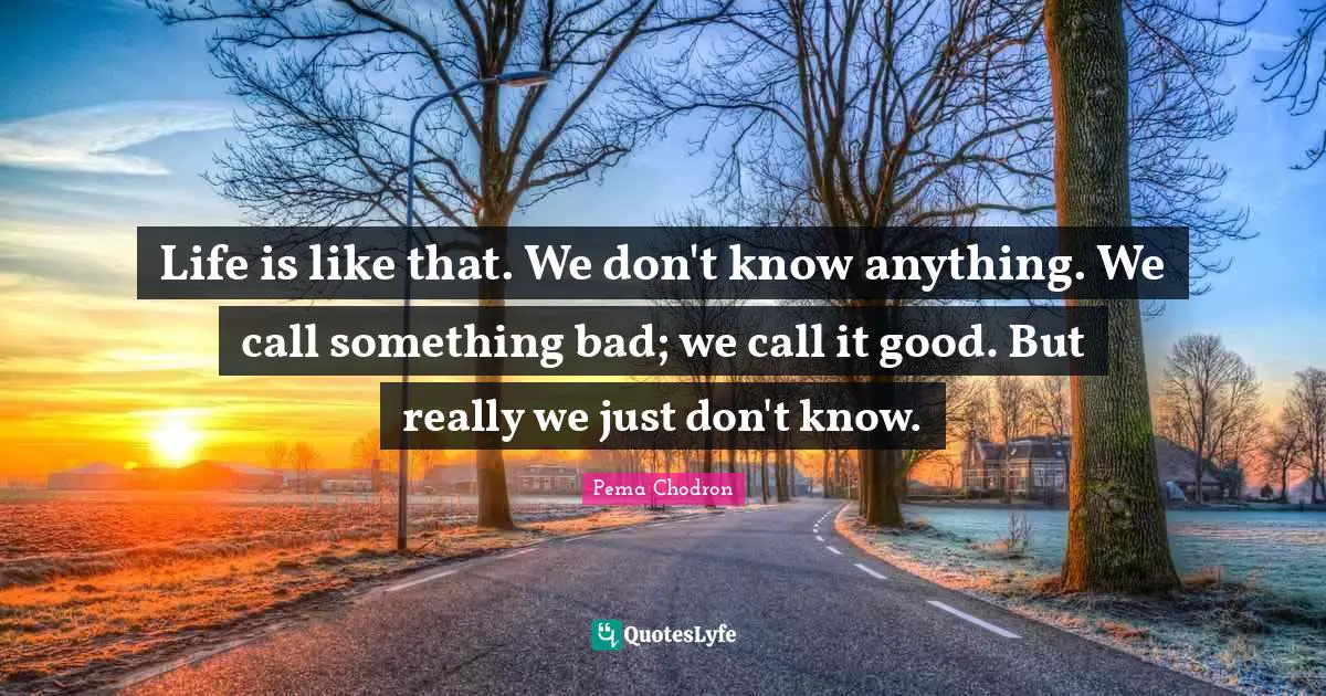 Life is like that. We don't know anything. We call something bad; we call it good. But really we just don't know.