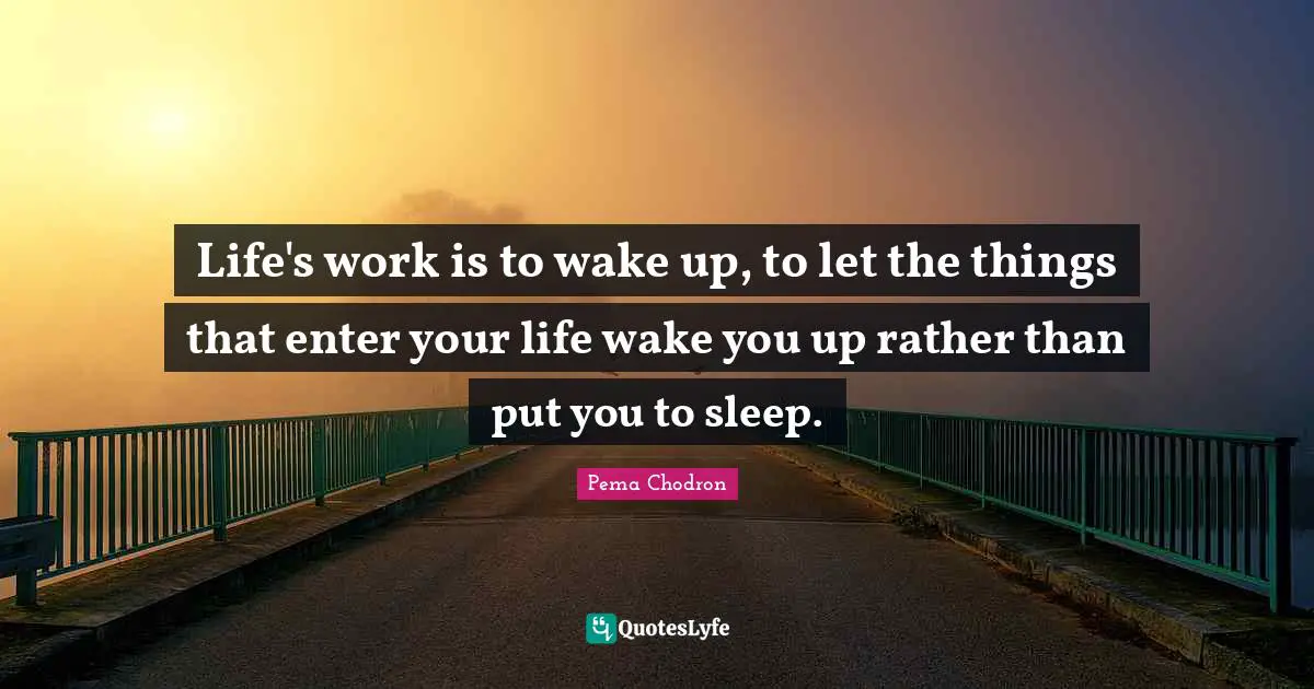 Life's work is to wake up, to let the things that enter your life wake you up rather than put you to sleep.