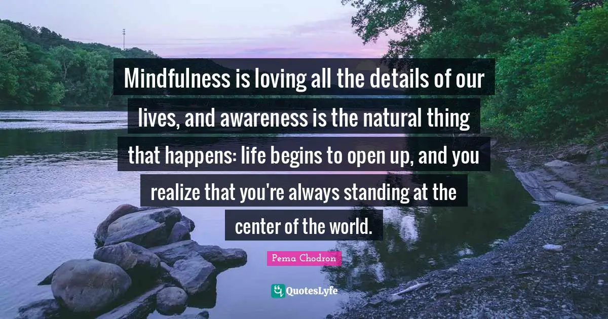 Mindfulness is loving all the details of our lives, and awareness is the natural thing that happens: life begins to open up, and you realize that you're always standing at the center of the world.