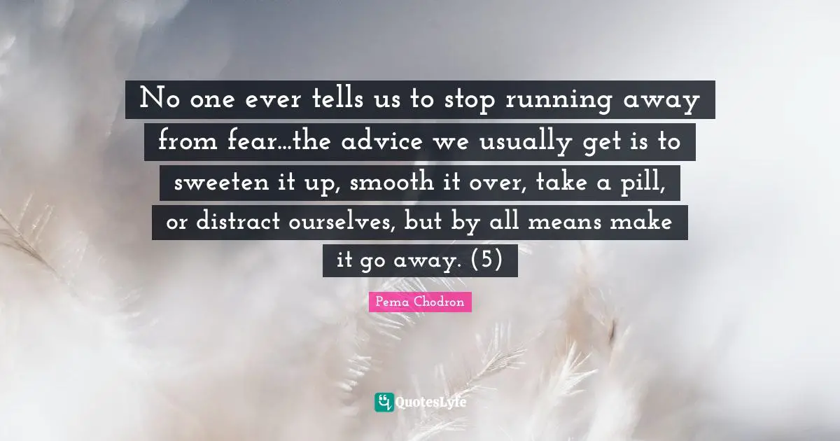 No one ever tells us to stop running away from fear...the advice we usually get is to sweeten it up, smooth it over, take a pill, or distract ourselves, but by all means make it go away. (5)