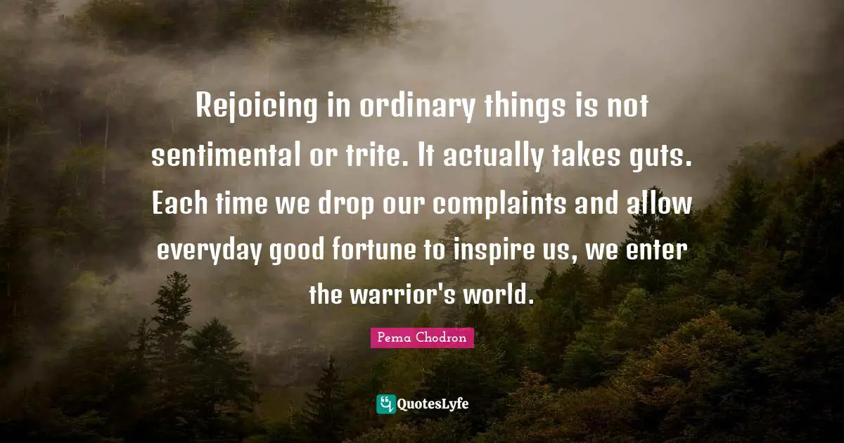 Pema Chodron Quotes: Rejoicing in ordinary things is not sentimental or trite. It actually takes guts. Each time we drop our complaints and allow everyday good fortune to inspire us, we enter the warrior's world.