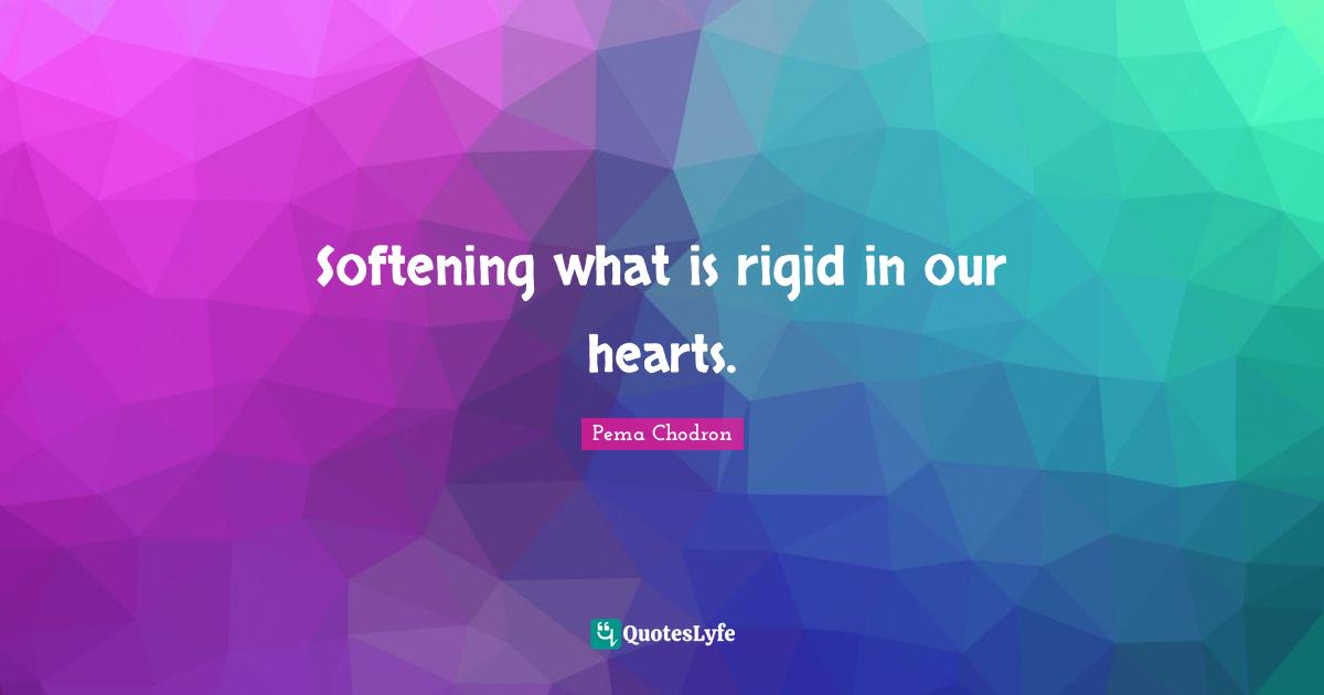Softening what is rigid in our hearts.