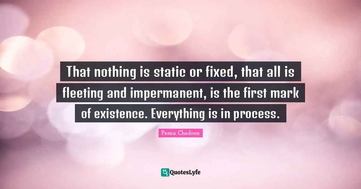 That nothing is static or fixed, that all is fleeting and impermanent, is the first mark of existence. Everything is in process.