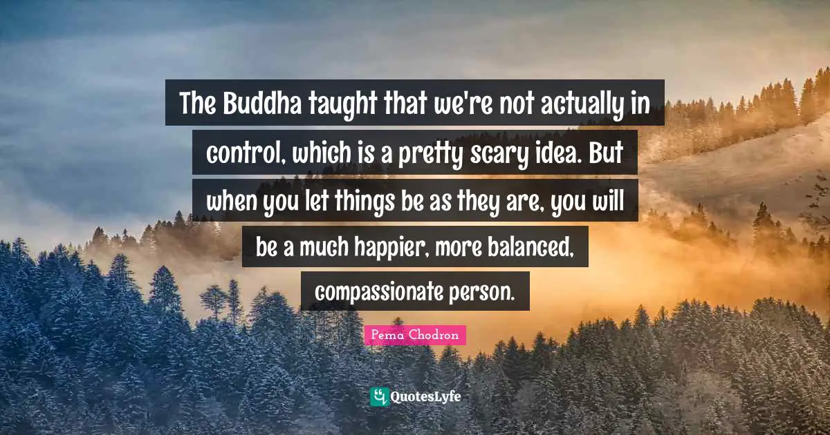 The Buddha taught that we're not actually in control, which is a pretty scary idea. But when you let things be as they are, you will be a much happier, more balanced, compassionate person.