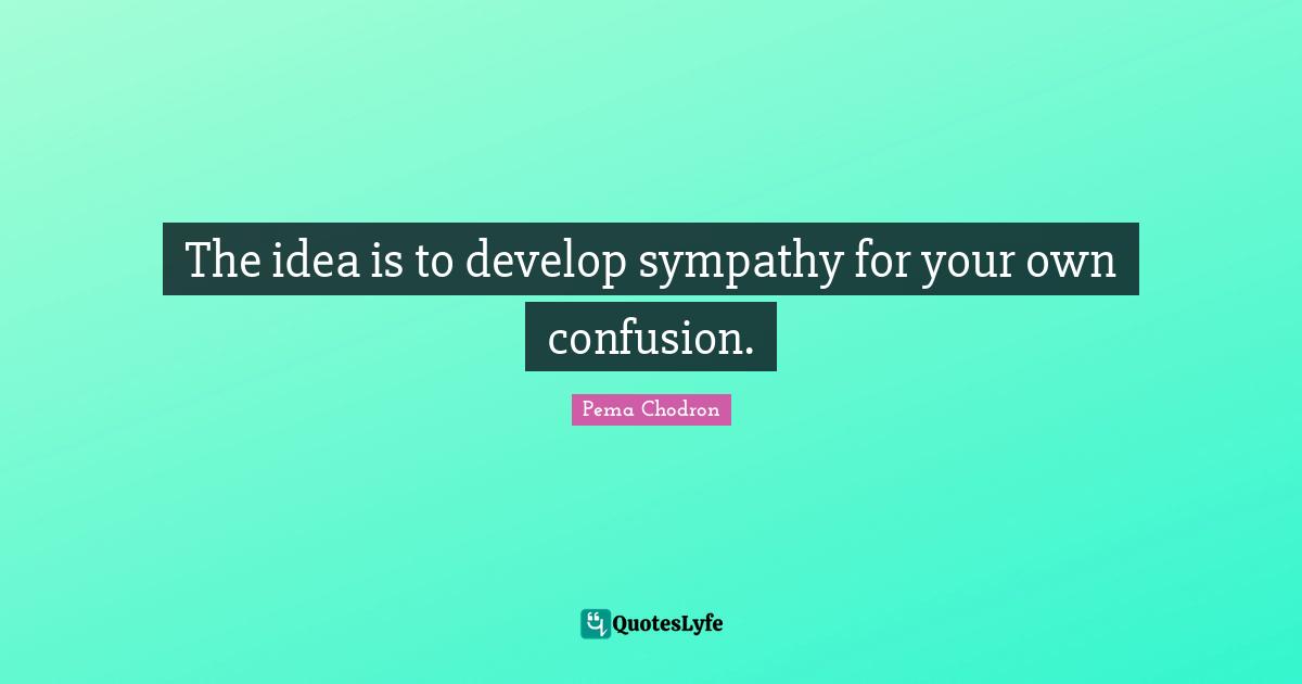 The idea is to develop sympathy for your own confusion.