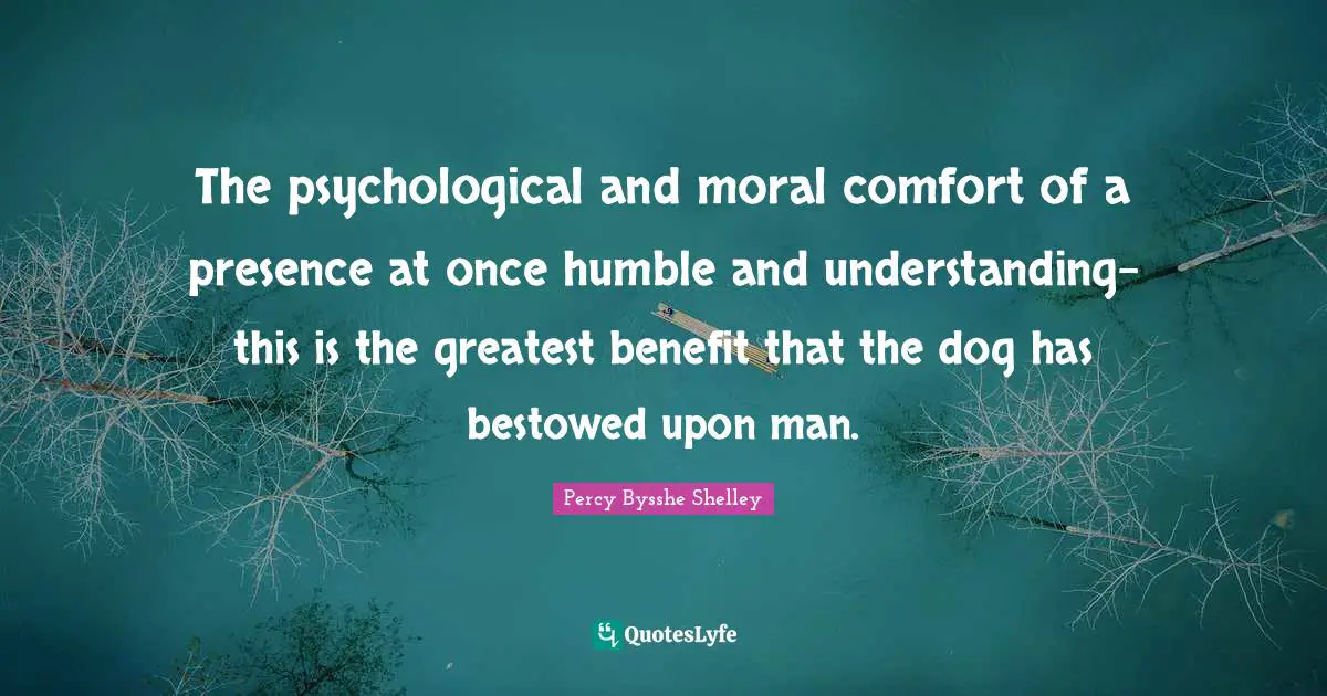 The psychological and moral comfort of a presence at once humble and understanding-this is the greatest benefit that the dog has bestowed upon man.
