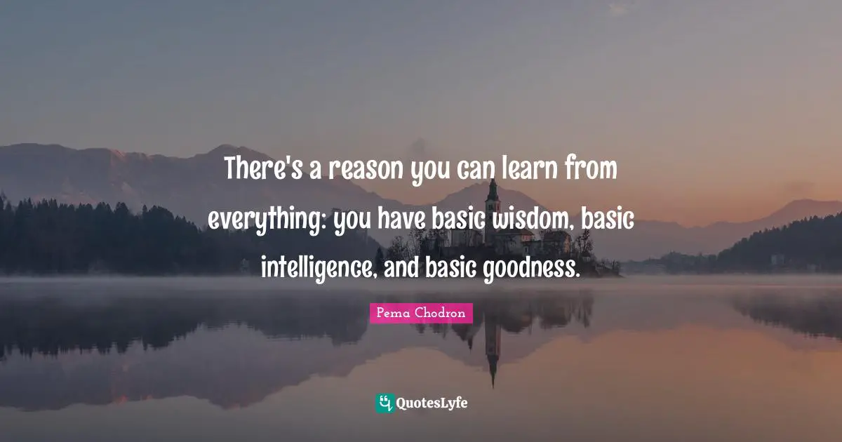 There's a reason you can learn from everything: you have basic wisdom, basic intelligence, and basic goodness.