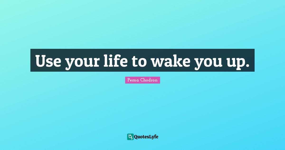 Use your life to wake you up.