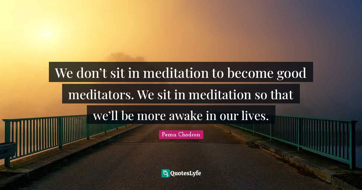 We don’t sit in meditation to become good meditators. We sit in meditation so that we’ll be more awake in our lives.
