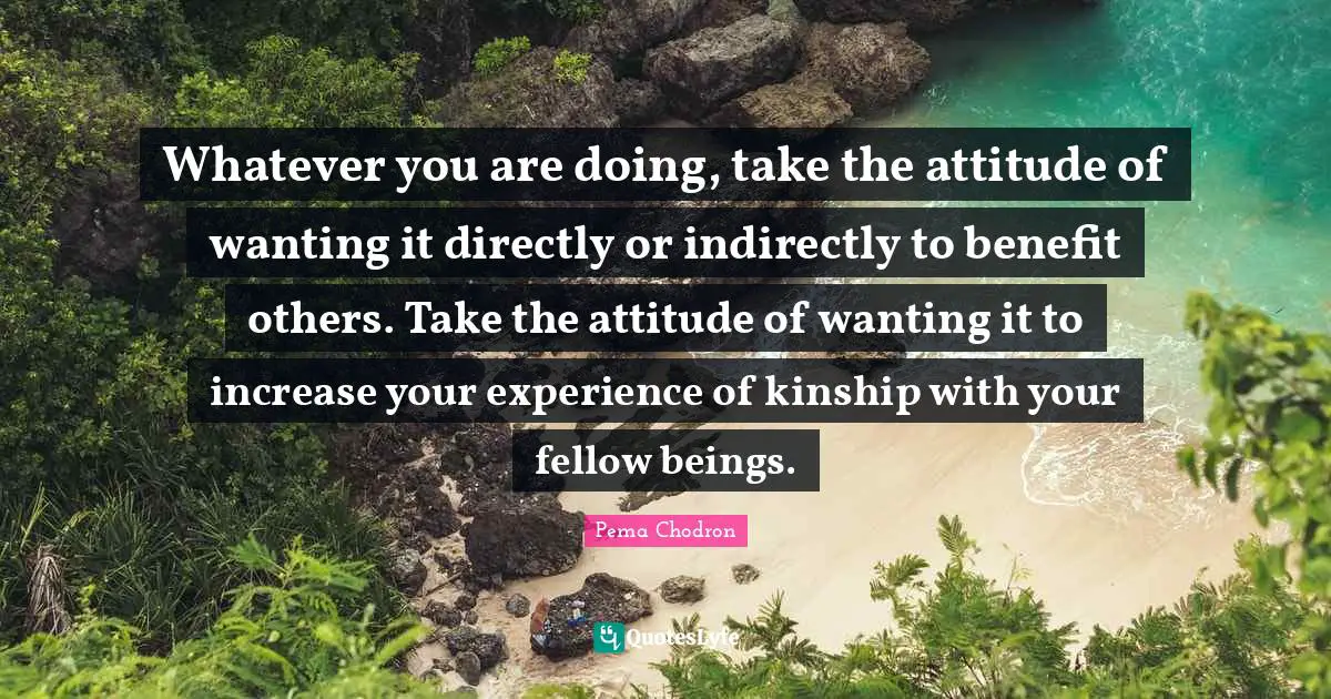 Whatever you are doing, take the attitude of wanting it directly or indirectly to benefit others. Take the attitude of wanting it to increase your experience of kinship with your fellow beings.
