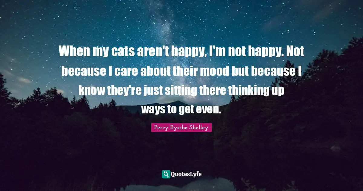 Humorous Quotes: "When my cats aren't happy, I'm not happy. Not because I care about their mood but because I know they're just sitting there thinking up ways to get even."