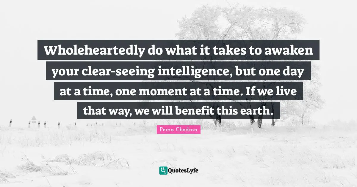 Wholeheartedly do what it takes to awaken your clear-seeing intelligence, but one day at a time, one moment at a time. If we live that way, we will benefit this earth.