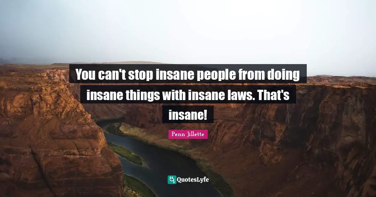 You can't stop insane people from doing insane things with insane laws. That's insane!