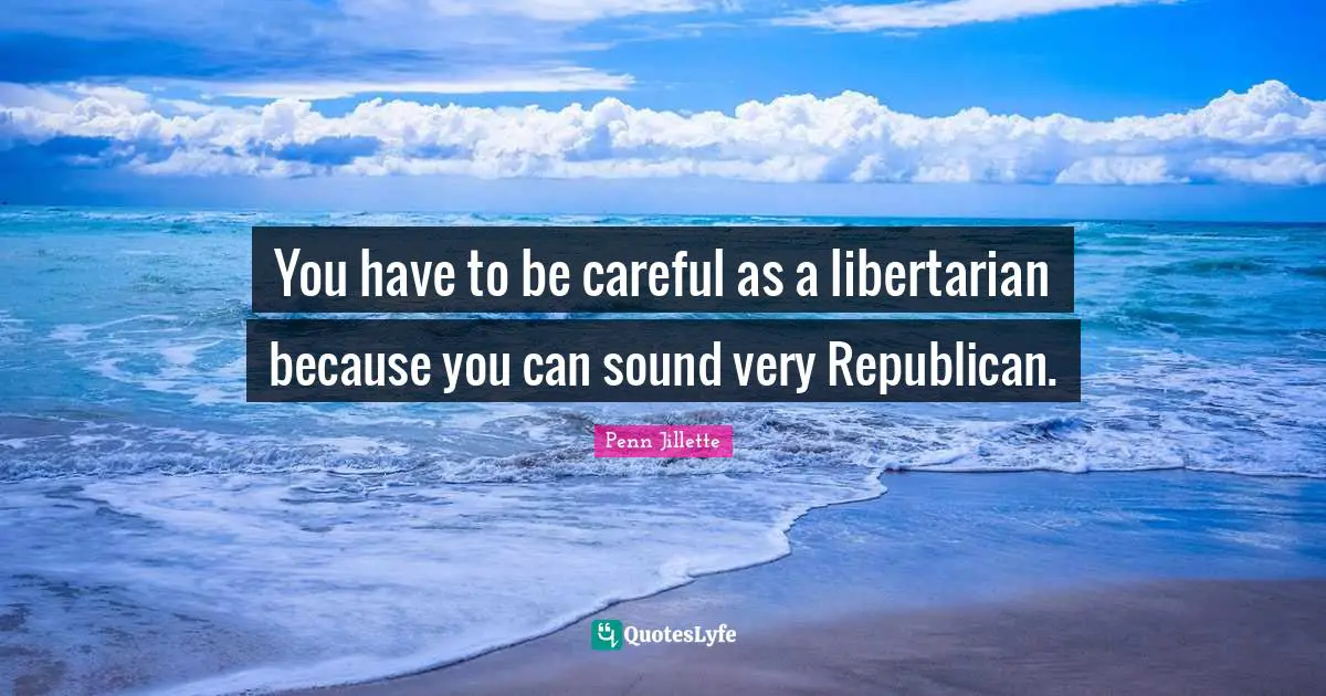 You have to be careful as a libertarian because you can sound very Republican.