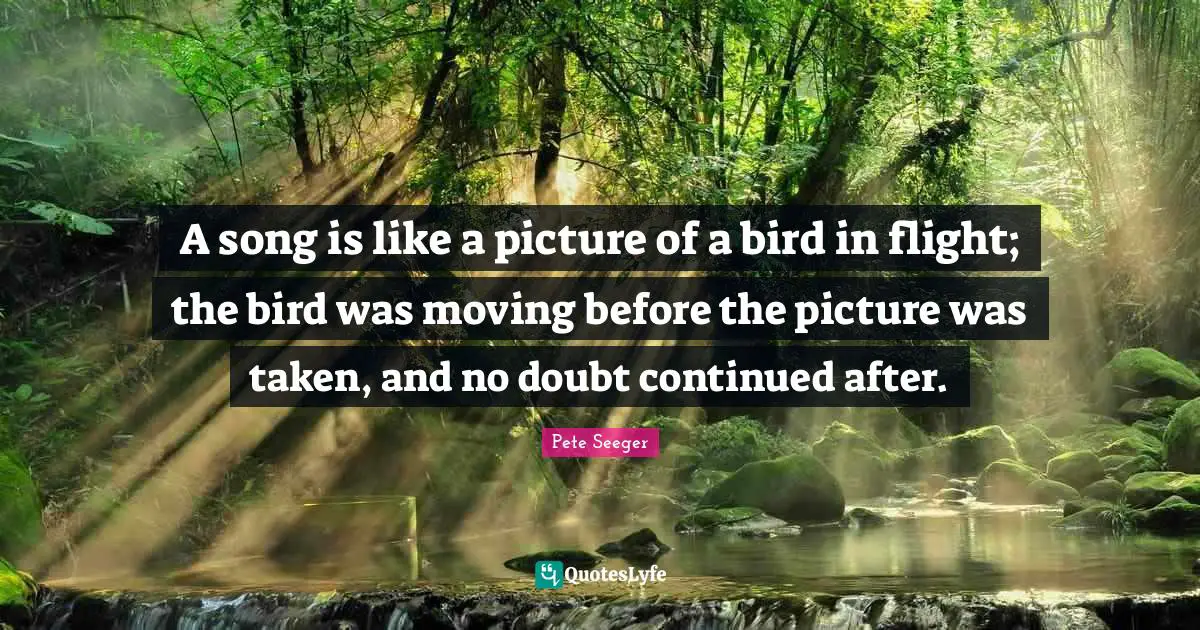 A song is like a picture of a bird in flight; the bird was moving before the picture was taken, and no doubt continued after.
