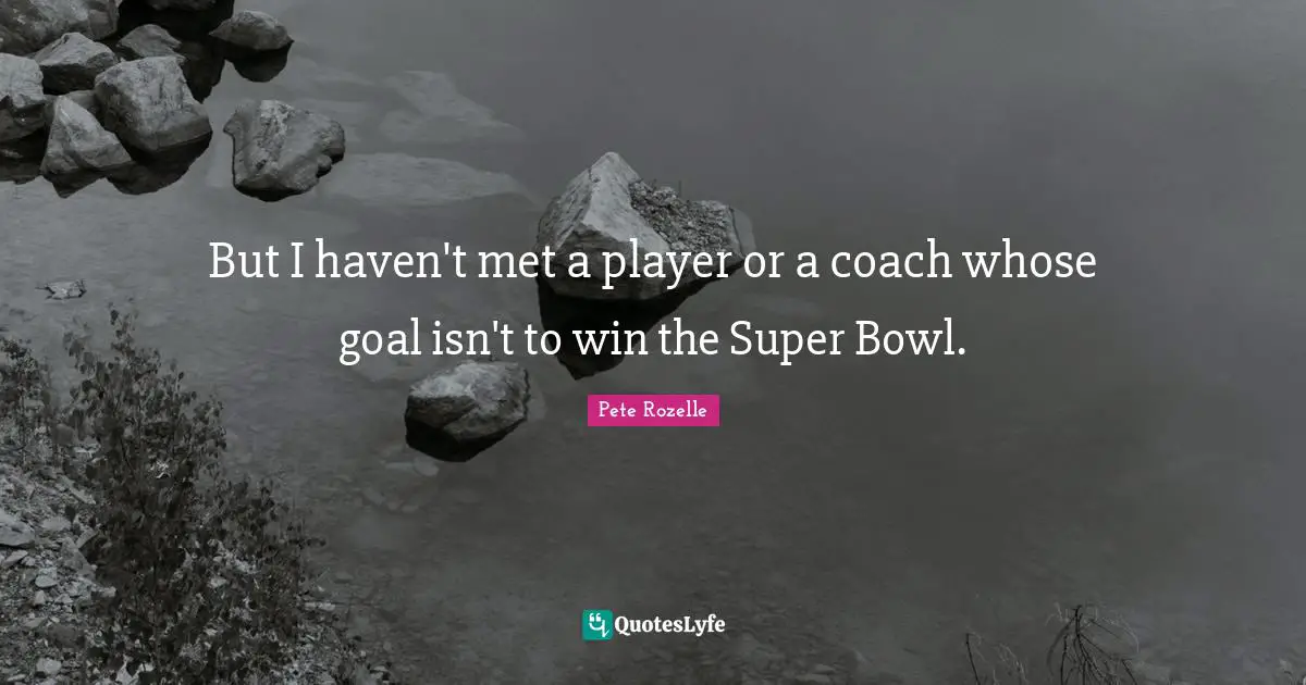 But I haven't met a player or a coach whose goal isn't to win the Super Bowl.