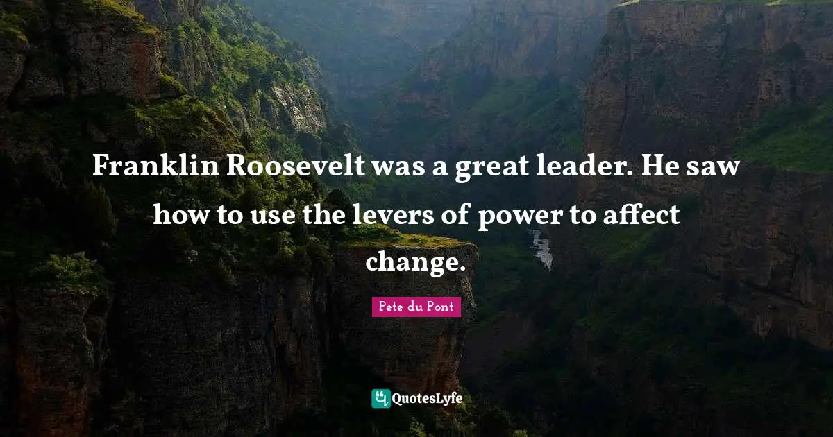 Franklin Roosevelt was a great leader. He saw how to use the levers of power to affect change.