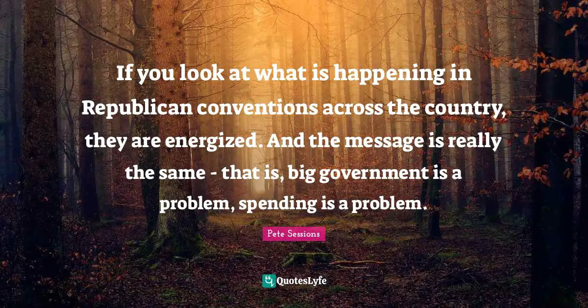 Pete Sessions Quotes: "If you look at what is happening in Republican conventions across the country, they are energized. And the message is really the same - that is, big government is a problem, spending is a problem."