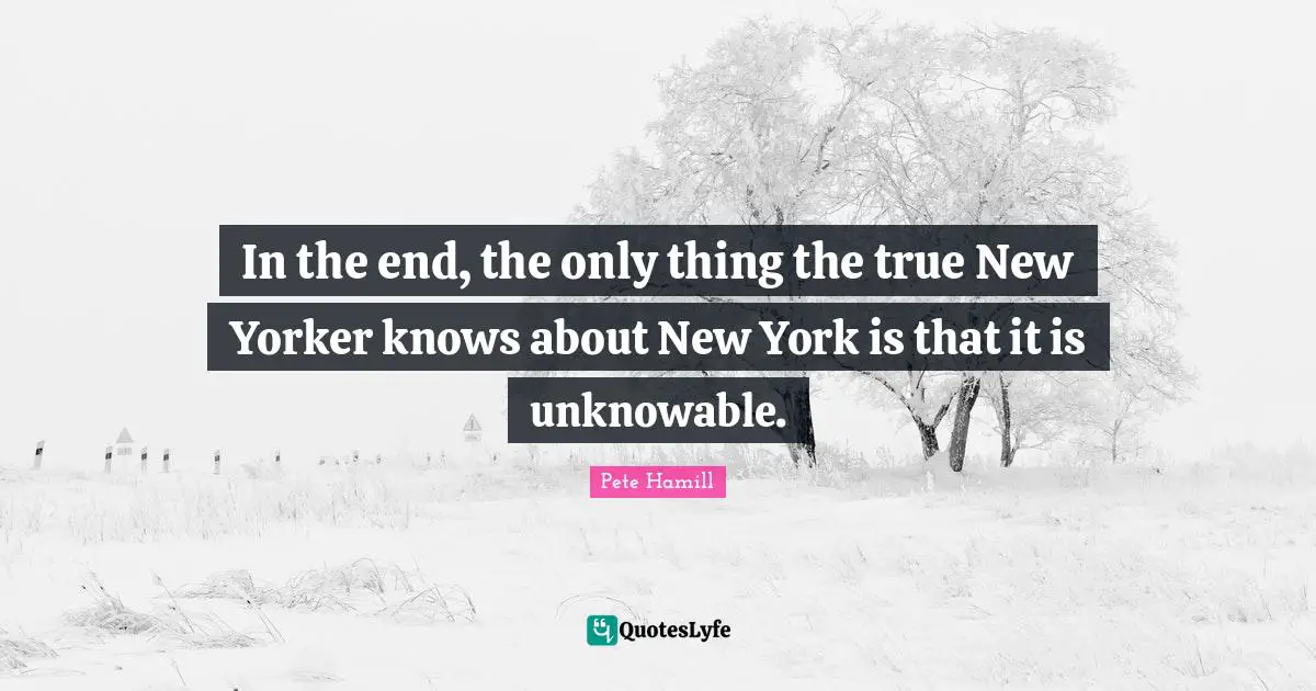 In the end, the only thing the true New Yorker knows about New York is that it is unknowable.