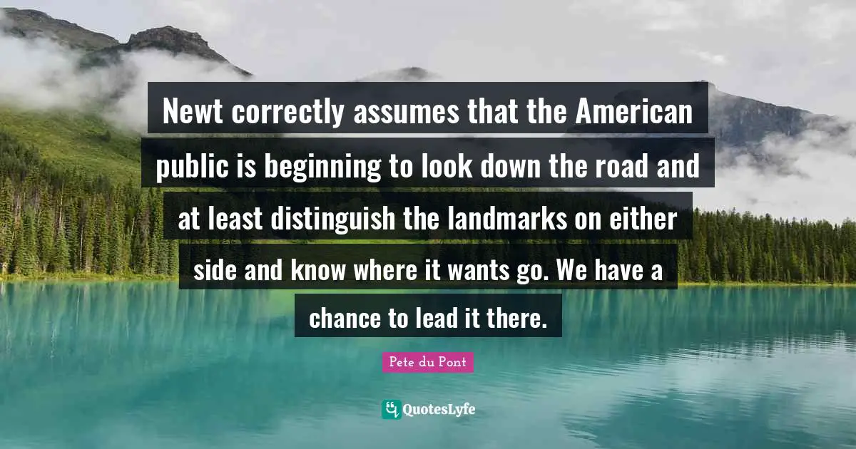 Newt correctly assumes that the American public is beginning to look down the road and at least distinguish the landmarks on either side and know where it wants go. We have a chance to lead it there.