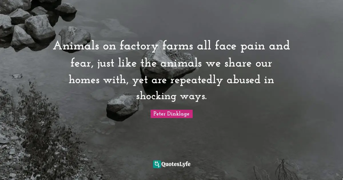 Animals on factory farms all face pain and fear, just like the animals we share our homes with, yet are repeatedly abused in shocking ways.