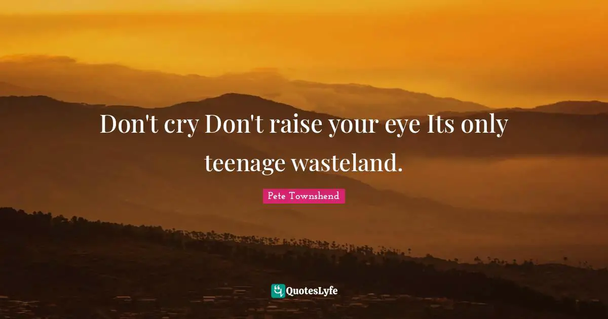 Pete Townshend Quotes: "Don't cry Don't raise your eye Its only teenage wasteland."